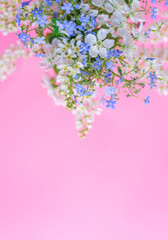 Floral spring background. White and blue flowers on a pastel pink background. Top view, copy space.