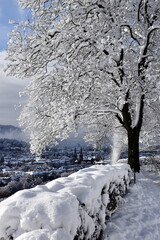 Winterlandschaft auf dem Schlossberg in Freiburg