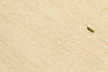 Apply sand rubbing plaster to masonry on concrete. Clean sand textured plaster surface texture.