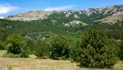 Naklejka premium Inaccessible rocks surrounded by green forests and shrubs in hot summers in clear sunny weather.
