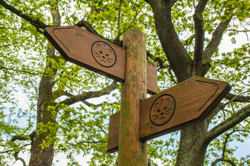Signpost of Wildnis-Trail in Eifel National Park, Germany. Wooden direction sign in front of trees © Joppi