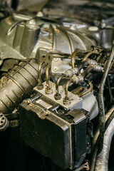 Fototapety na wymiar - Fototapeta24.pl