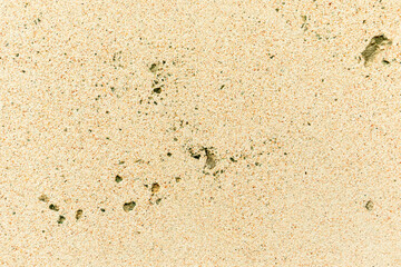 Apply sand rubbing plaster to masonry on concrete. Clean sand textured plaster surface texture.