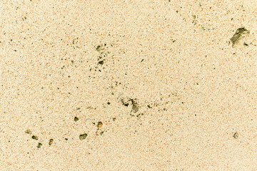 Apply sand rubbing plaster to masonry on concrete. Clean sand textured plaster surface texture.