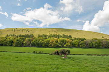 Summertime landscape in Radnorshire, Wales.