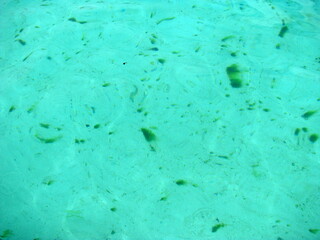 Coastline Zanzibar island Tanzania