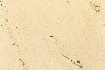 Apply sand rubbing plaster to masonry on concrete. Clean sand textured plaster surface texture.