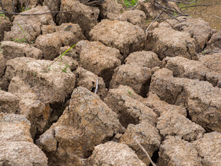 Background. Texture. Bottom of the river.