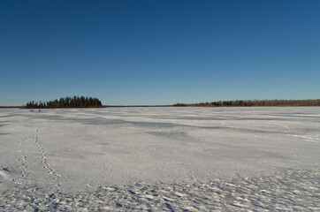 Fototapeta na wymiar Astotin Lake Frozen on a Sunny Winter Day