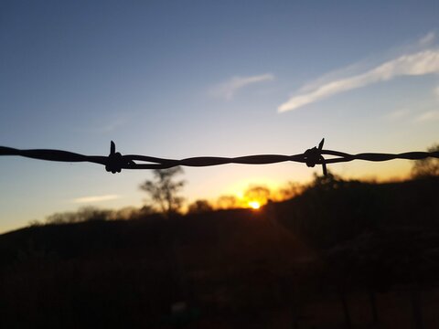 barbed wire against sunset