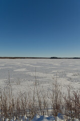 Astotin Lake Frozen on a Sunny Winter Day