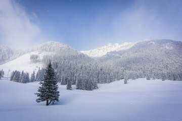 Mountain valley in winter. Chochołowska Valley, Tatra Mountains, Poland