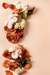 Beautiful botanical composition creative layout with dry roses, petals and white flowers over beige background. Flat lay, copy space