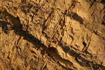 Detail view from a yellow quarry with sandstone. Pattern. Perfect for Backgrounds.