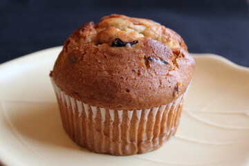 A blueberry muffin on a plate