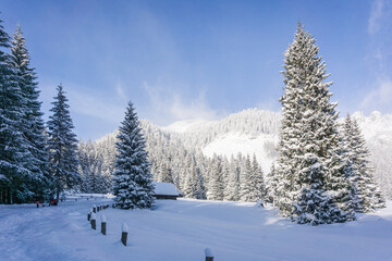 Mountain valley in winter. Chochołowska Valley, Tatra Mountains, Poland