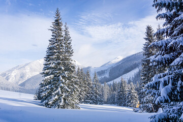 Fototapeta premium Mountain valley in winter. Chochołowska Valley, Tatra Mountains, Poland