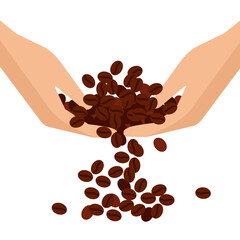 Coffee beans . In the hands of Arabica seeds. Flat vector illustration.