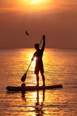 Standup Paddler im Sonnenaufgang 