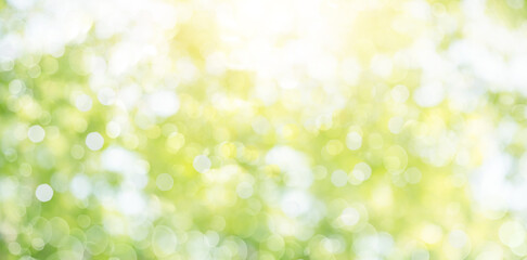 Fresh healthy green bio background with abstract blurred foliage and bright summer sunlight and a...