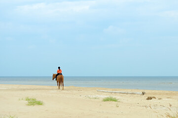 Woman riding a horse by the sea. Jockey training against the backdrop of a calm seascape.
