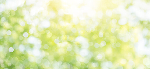 Fresh healthy green bio background with abstract blurred foliage and bright summer sunlight and a...