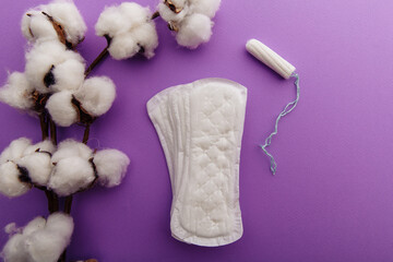 Fototapeta na wymiar Daily sanitary pads and tampon on a lilac background. Hygiene protection for woman critical days.
