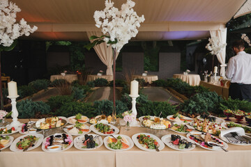 Catering banquet table at wedding reception. Restaurant presentation, european cuisine, food consumption, party concept. Food styling, appetizers bar, welcome drink, event design.