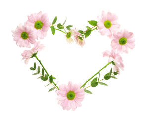 Heart made of beautiful flowers on white background