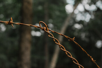 close up of rusty barbed wire intersecting