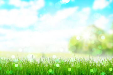 Fototapeta na wymiar Green bokeh grassland in front of sunny blue heaven background and forrest.