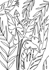 vector ilustration coloring page with tropical plants