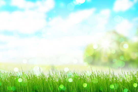 Green bokeh grassland in front of sunny blue heaven background and forrest.