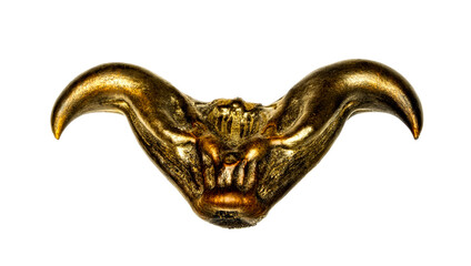 Closeup water Caltrops -  Horn chestnut - Trapa bicornis - isolated on white background