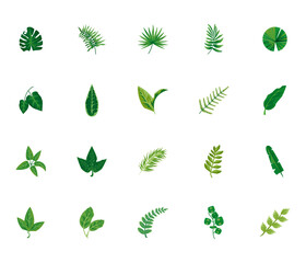 bundle of twenty leaves plants green nature icons