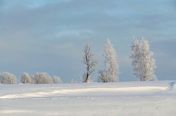 January winter landscape. Russian nature in winter