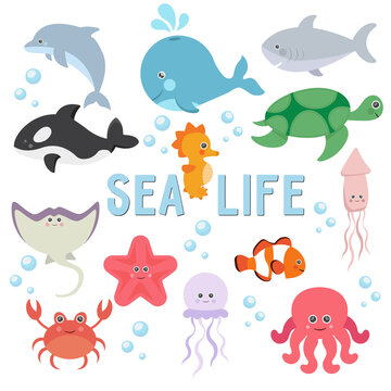 clipart sea life set of illustrations of animals underwater world marine inhabitants