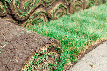 unrolled roll of lawn on the background of a stack of other rolls