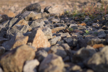 stones on the beach