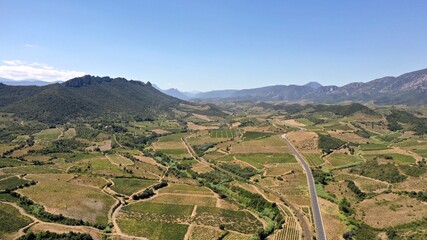 Fototapeta na wymiar survol des vignes de Maury dans les Pyrénées-Orientales