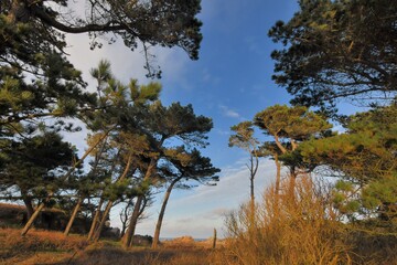 Beautiful seascape of the coast at Plougrescant in Brittany. France