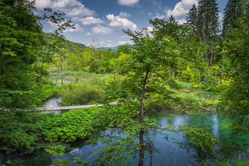 Wooden footpath leading trough green lush forest and wetlands with small turquoise lakes. Plitvice Lakes National Park UNESCO World Heritage, Croatia