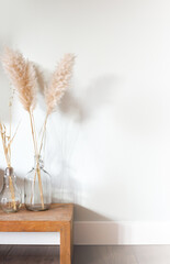 Dried pampas grass in glass vase on wooden table near white background, modern bright decoration for home interior, copy space