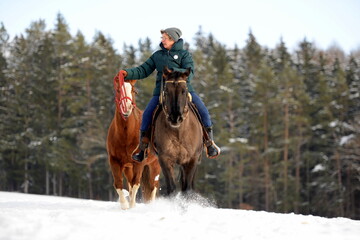 Fototapeta premium Schönstes Hobby der Welt: Reiten im Winter