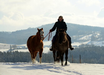 Schönstes Hobby der Welt: Reiten im Winter