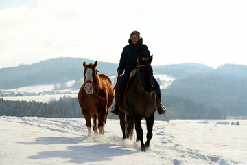 Schönstes Hobby der Welt: Reiten im Winter