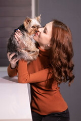 charming brunette woman in brown golf with a Yorkshire Terrier puppy sitting at table in gray room. pet, animal