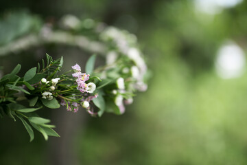 Wedding wreath close-up.