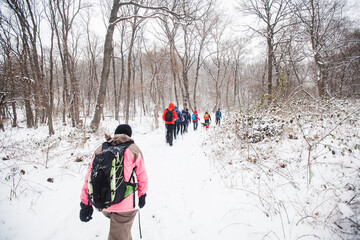 Hikers with backpack hiking on snowy trail. Group of people walking together at winter day. Back view.