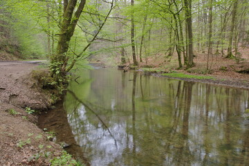 An einem Fluss läuft ein Weg vorbei und stehen viele Bäume mit frische grüne Blätter an beide Ufern. In das Wasser spiegeln sich die Bäume.